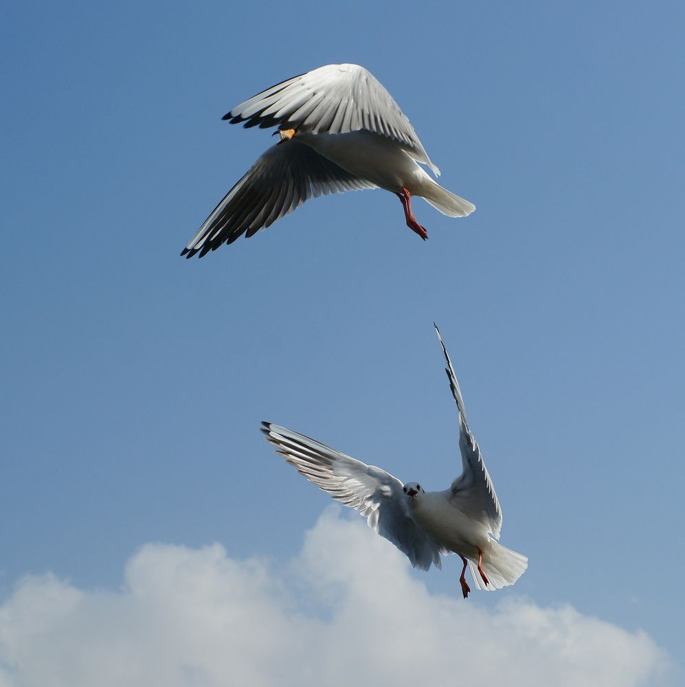 Прикрой. Уходим