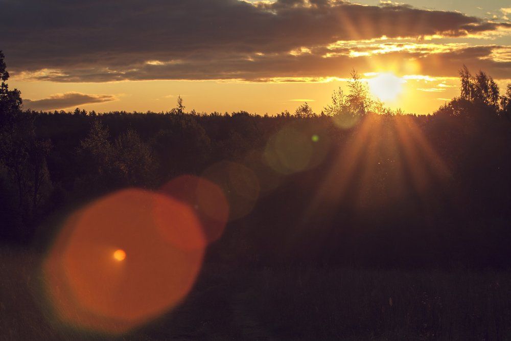 Последние лучи уходящего дня