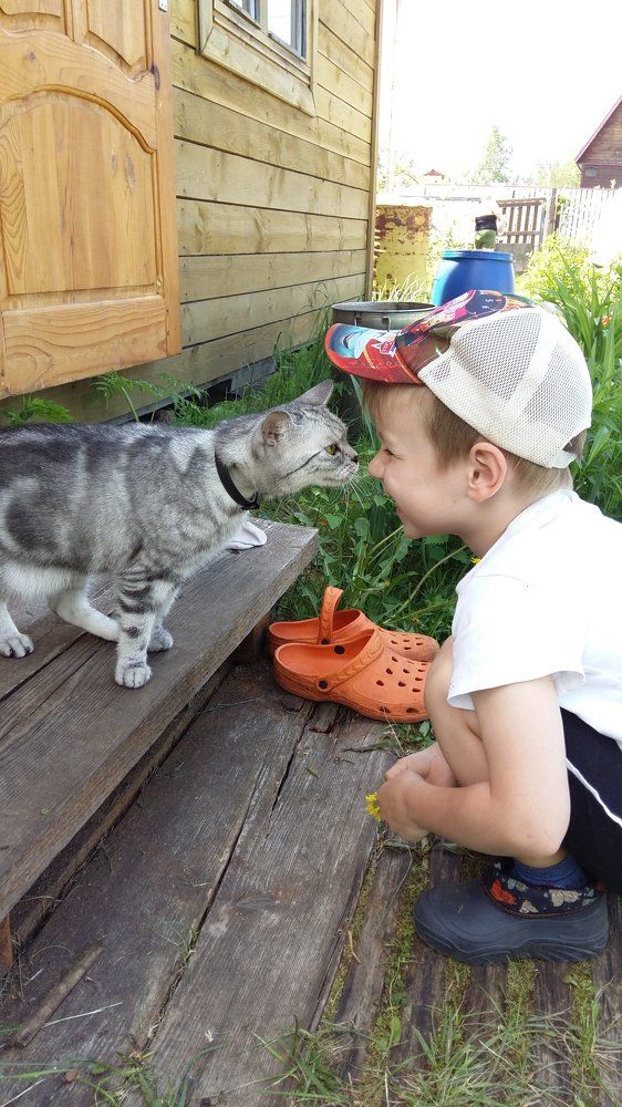 Доброе утро