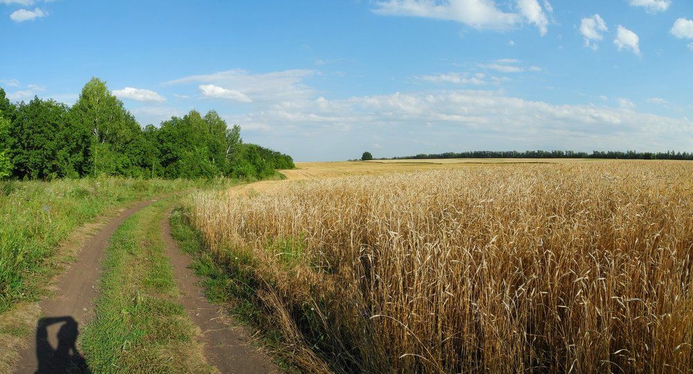 Провожая лето