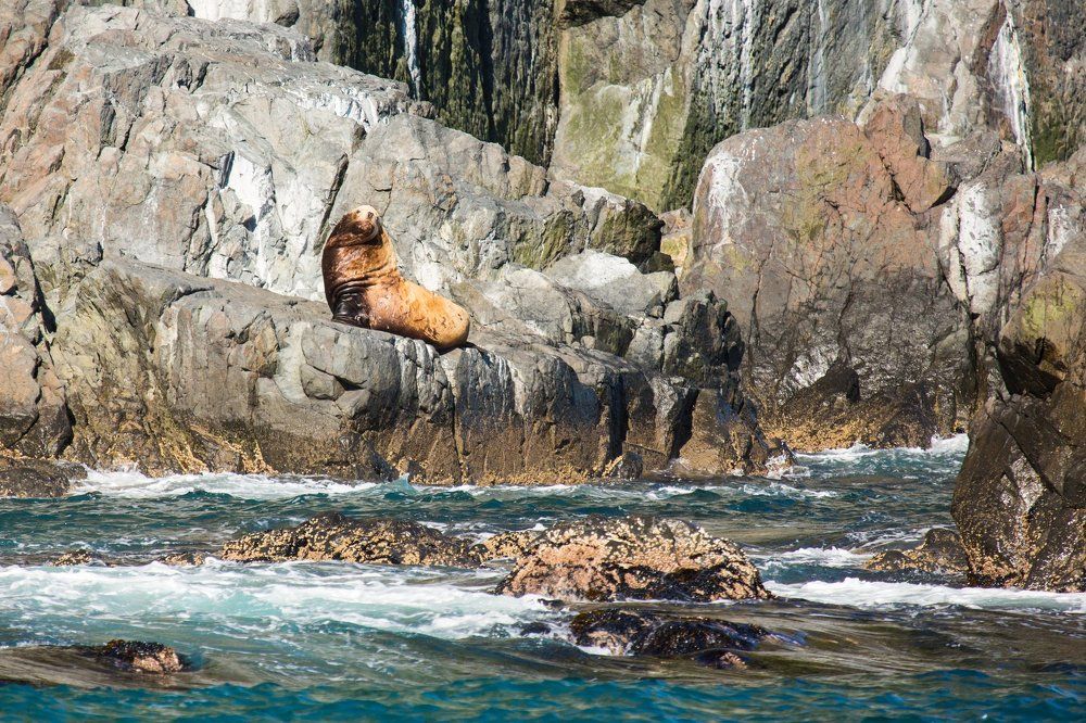 Photograph by Дмитрий Гольнев