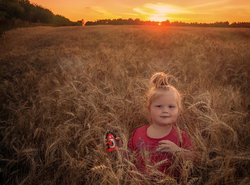 Пшеничное поле