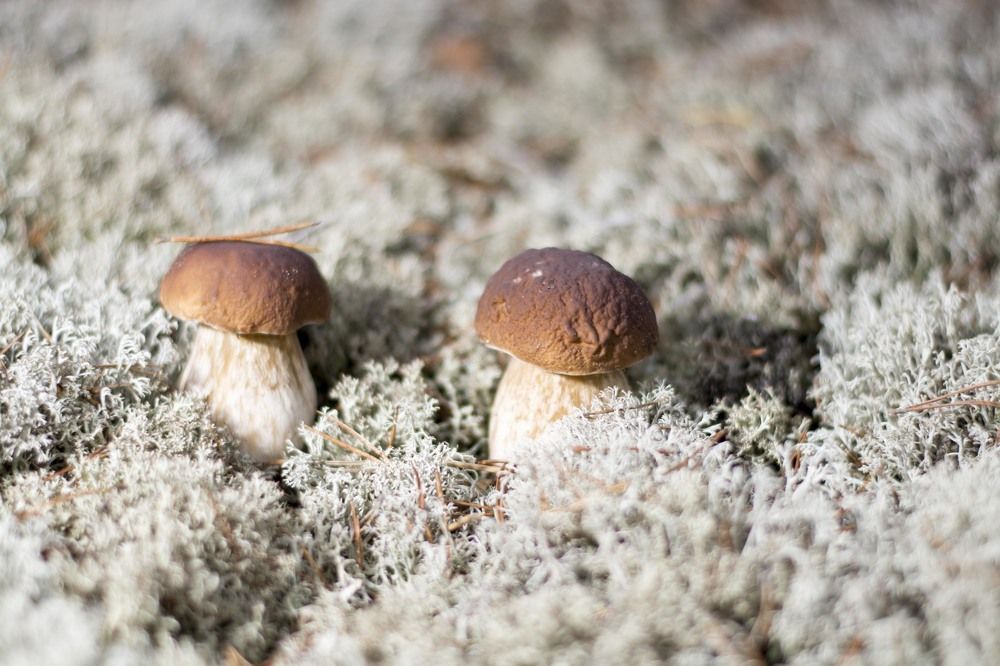 Фотография автора Евгений Глембоцкий