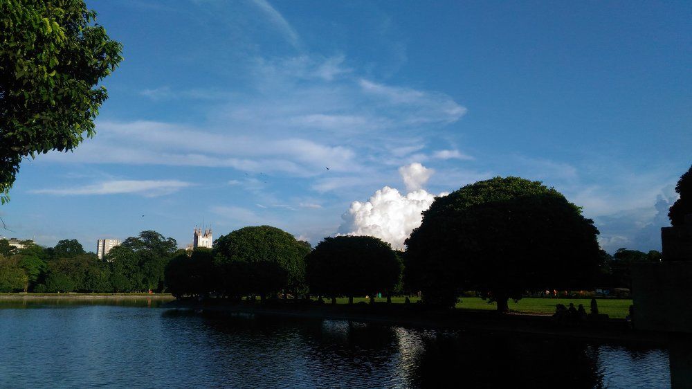 Tranquil nature