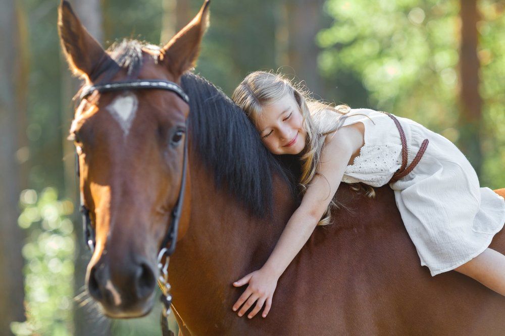 Я люблю свою лошадку...