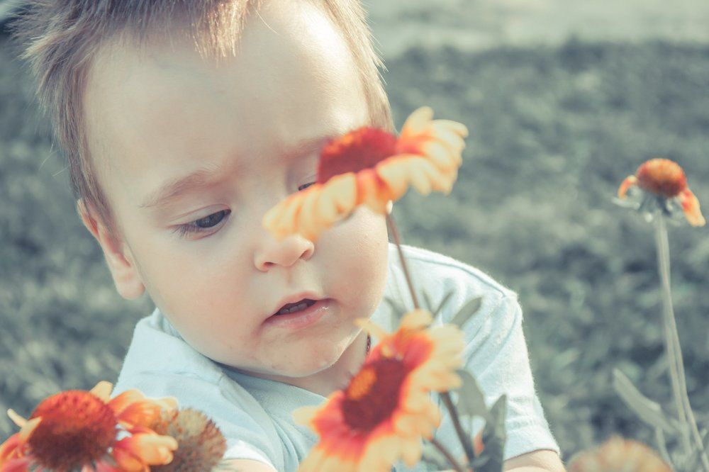 Photograph by Анна Филипанова