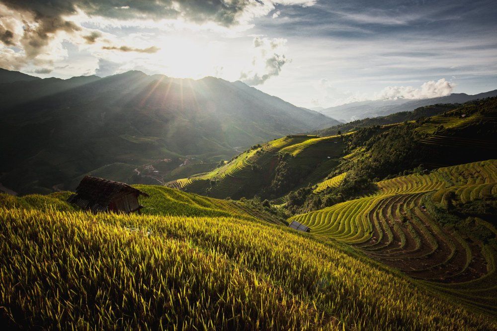 Mu Cang Chai