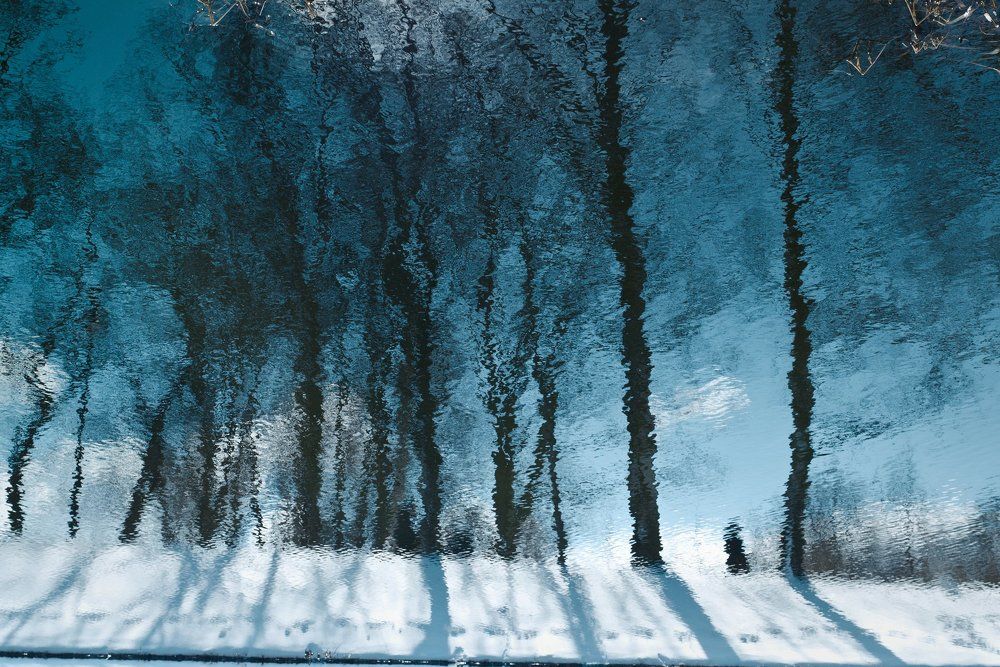 Photograph by Елена Александрова