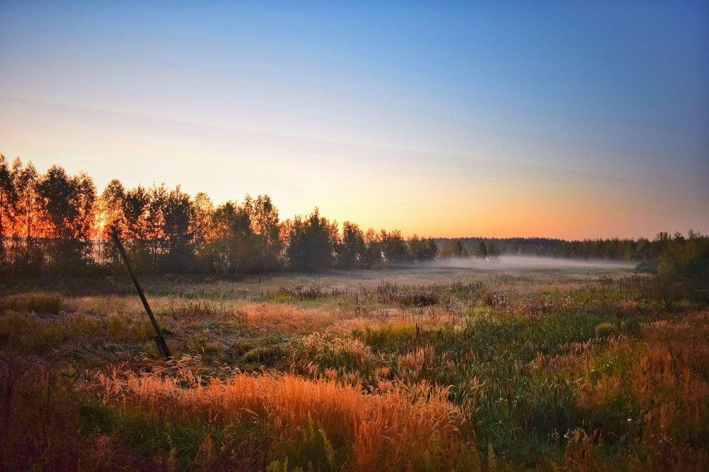 Первый свет