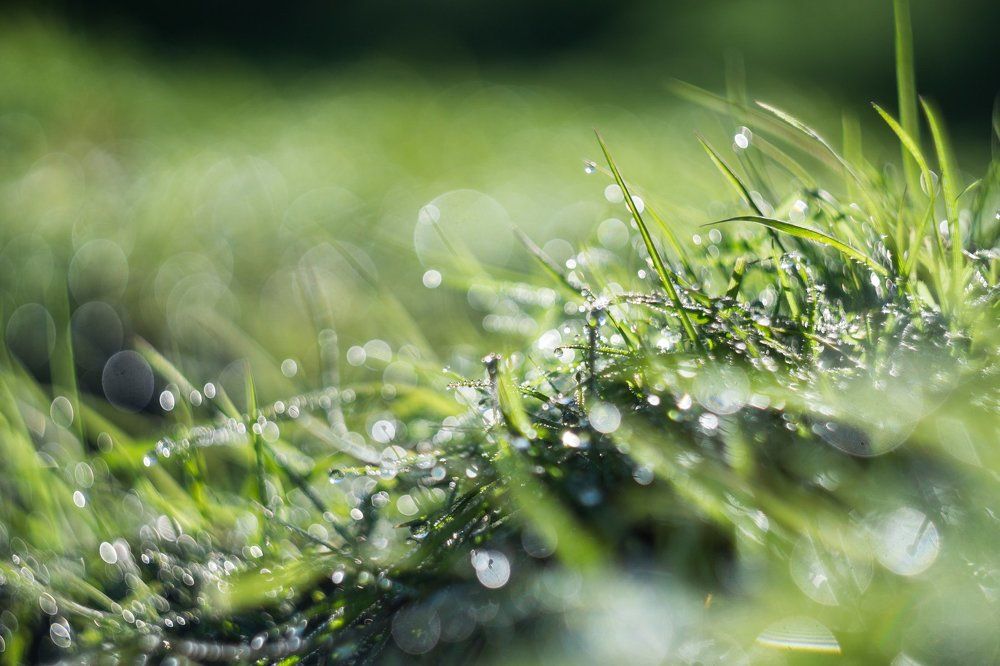 Бриллианты нового дня