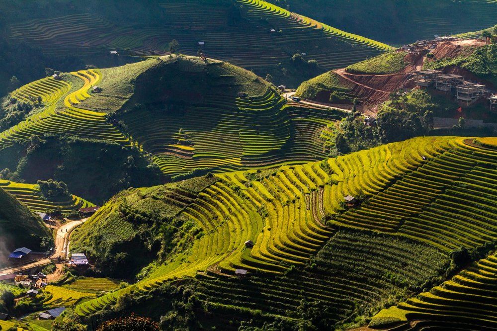 Mu Cang Chai