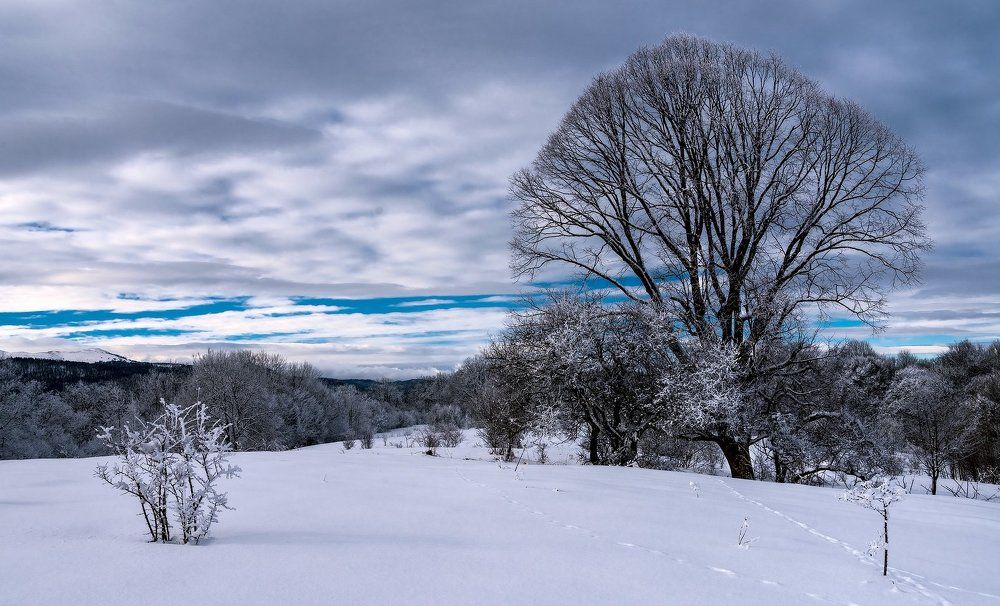 Скоро - скоро на луга...