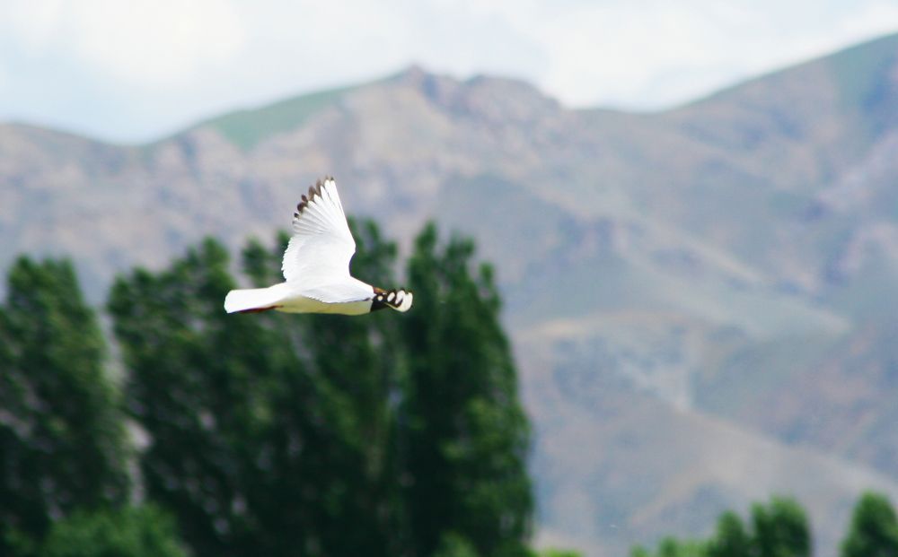 С рыбалки!!!