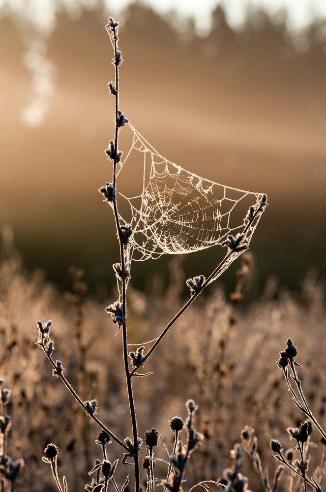 Photograph by Владимир Новиков