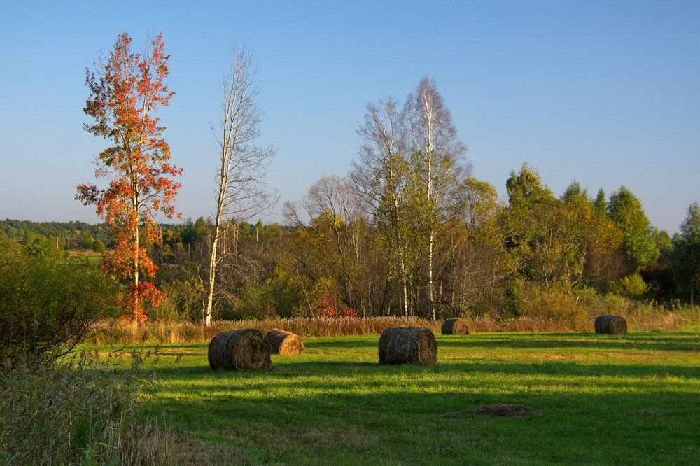 Осенняя пора, очей очарованье...