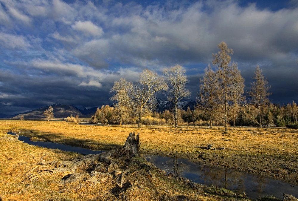 В Курайской степи