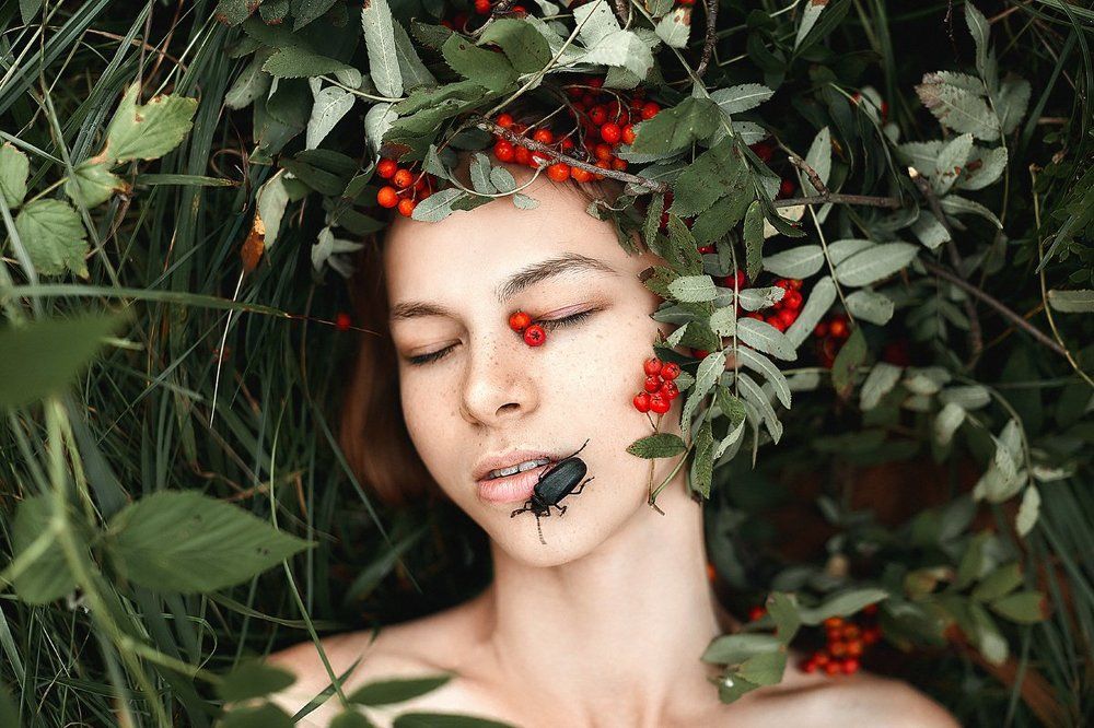 Фотография автора Комарова Настя