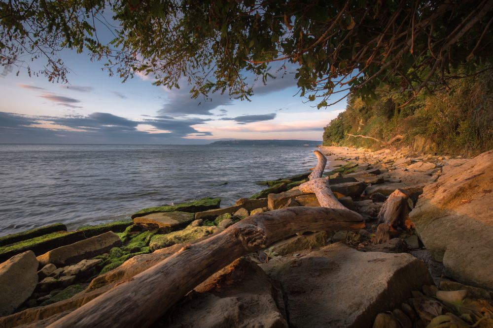 Фотография автора stoyan pavlov