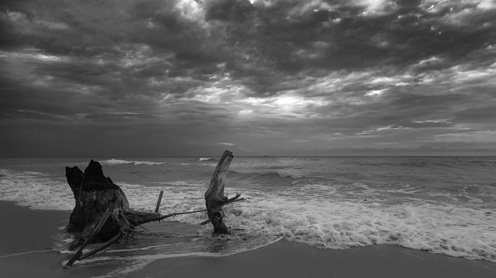 Photograph by Andrej Nekrasov