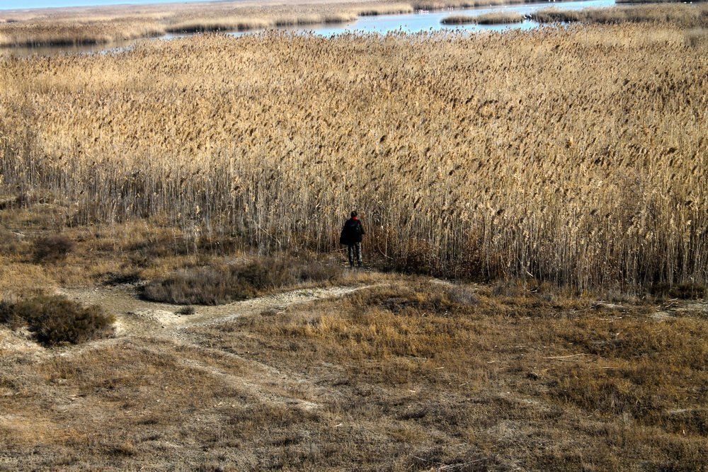 Фотография автора Vusale Zeynalova