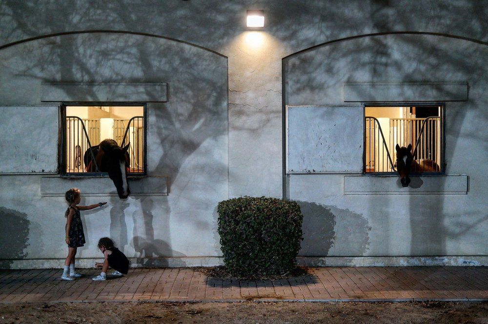 Однажды вечером