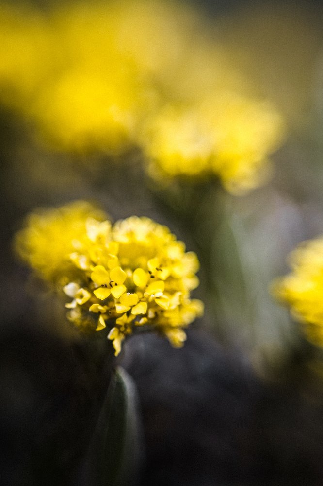 Photograph by Slava Storozhev