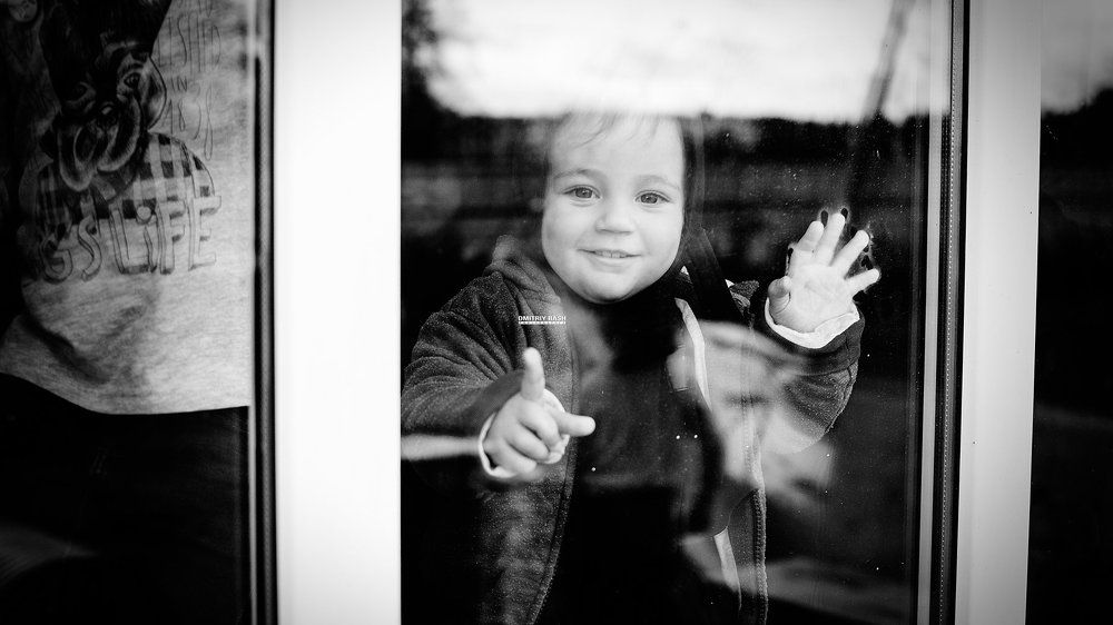 Познавательная жизнь за стеклом