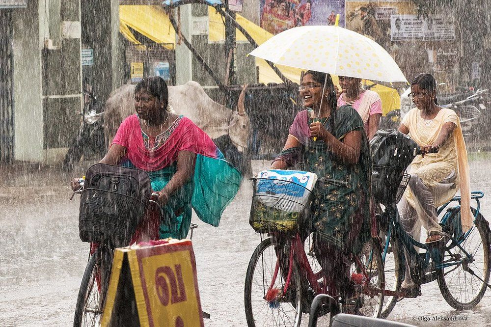 Долгожданный