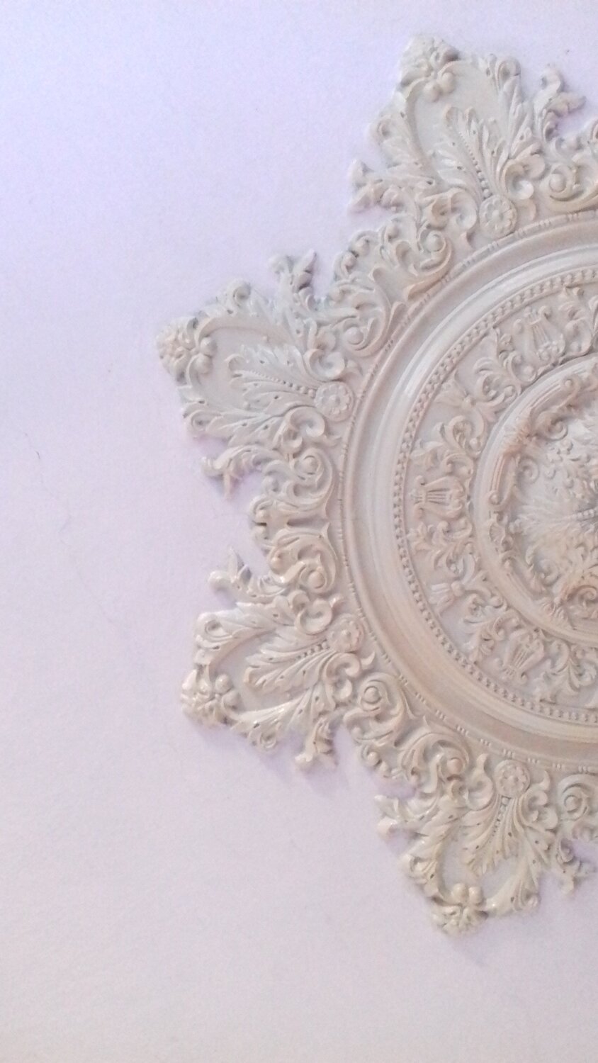 Photo #1971655