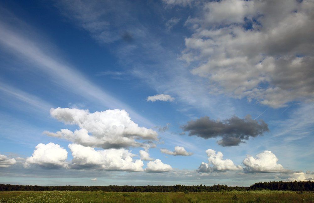 По дороге в Поленово