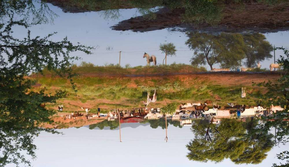 Illusion is not normal