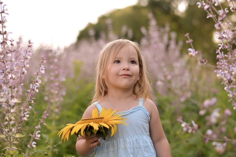 Яркое крымское лето