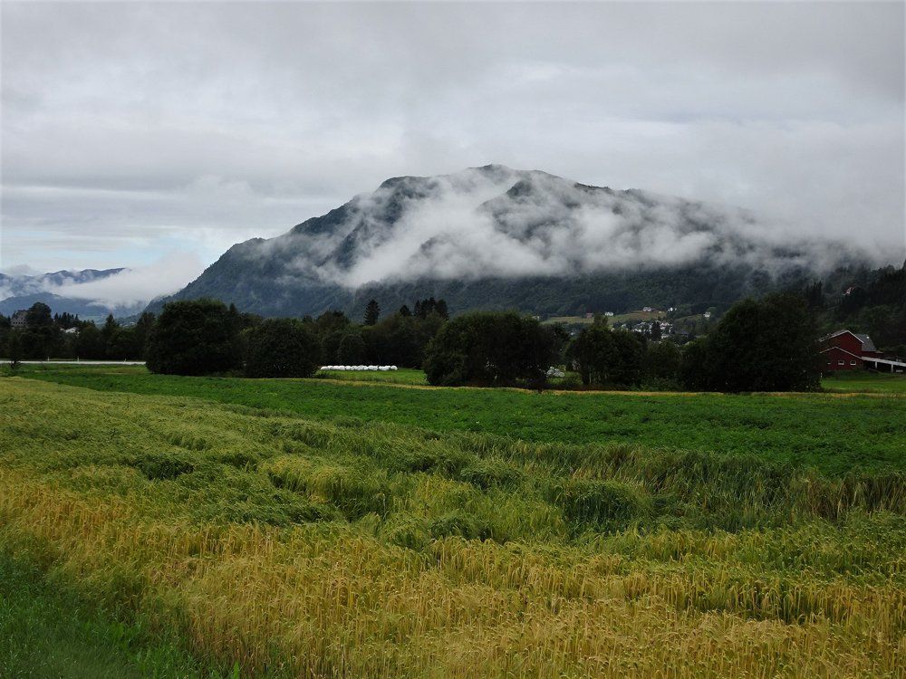 Поля суровой Норвегии