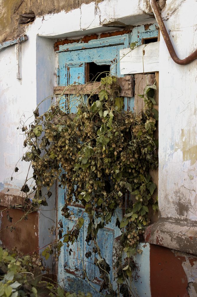 Когда природа берет свое