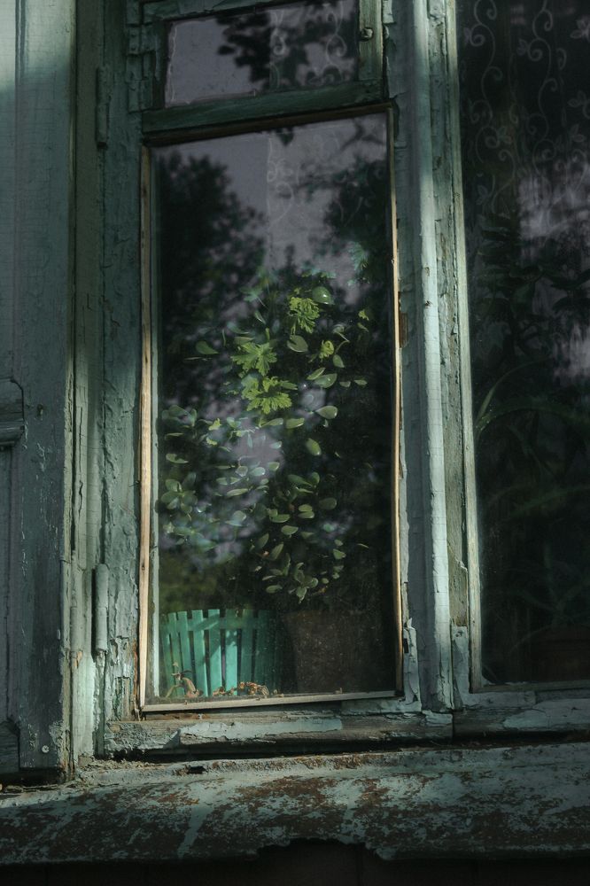 Photograph by Юлия