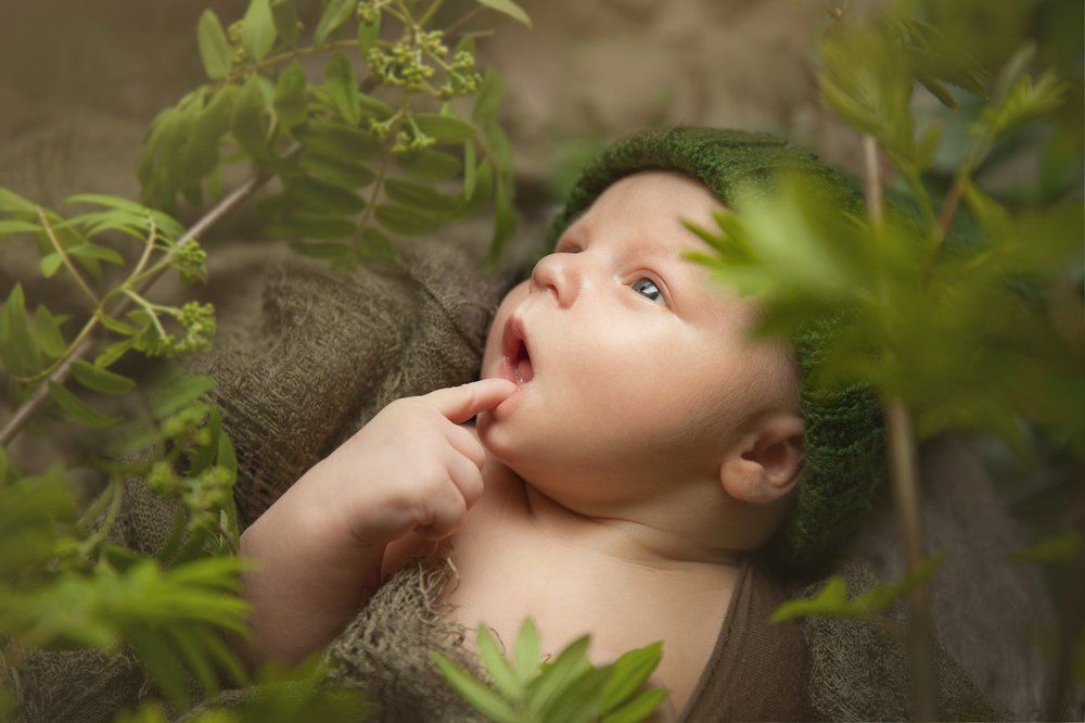 Созерцатель