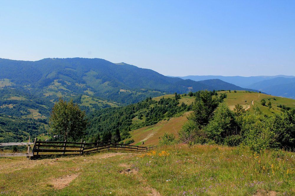 Степ і гори