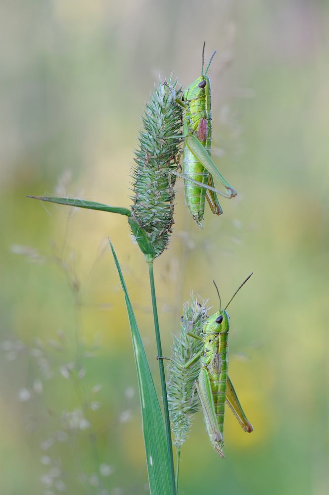 Командный пункт.