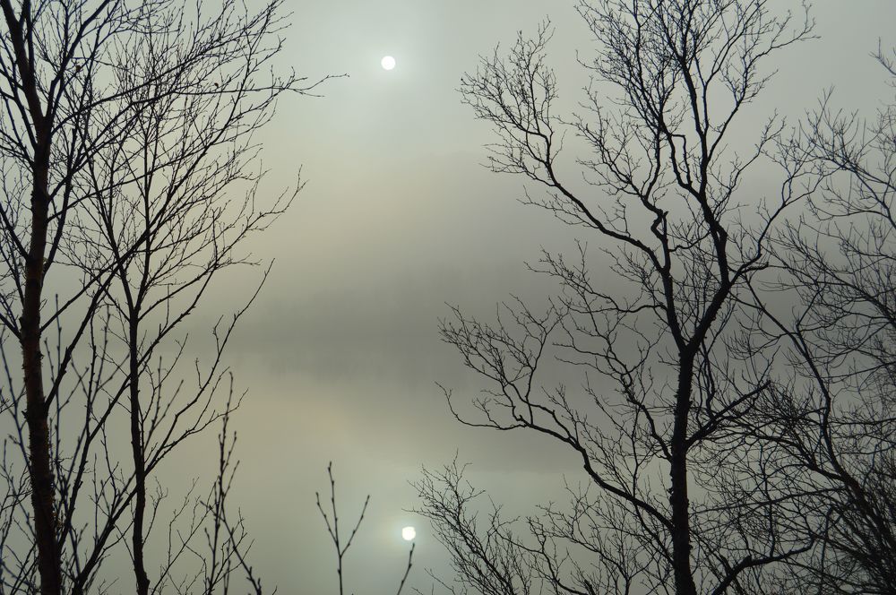 Туманное солнце