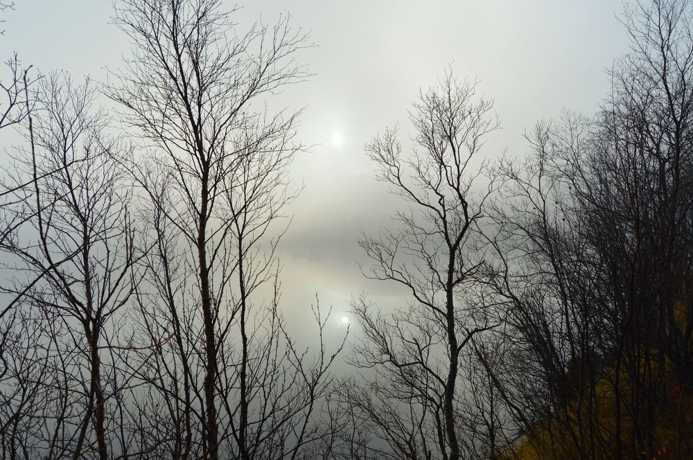 Туман и солнце