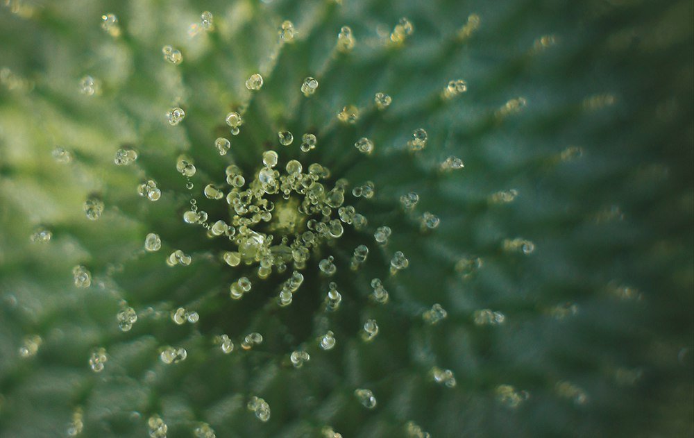 Калейдоскоп