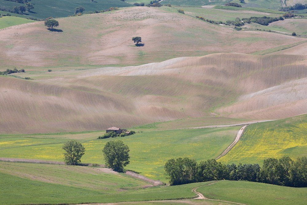 Photograph by Aleksander Vystorobskiy