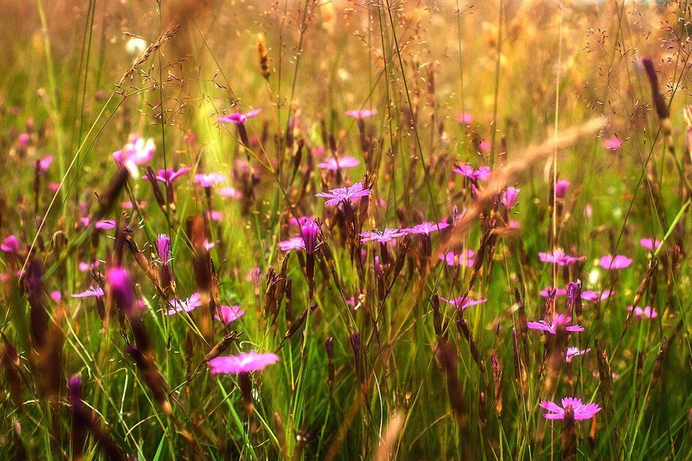 Photograph by Cath. B.