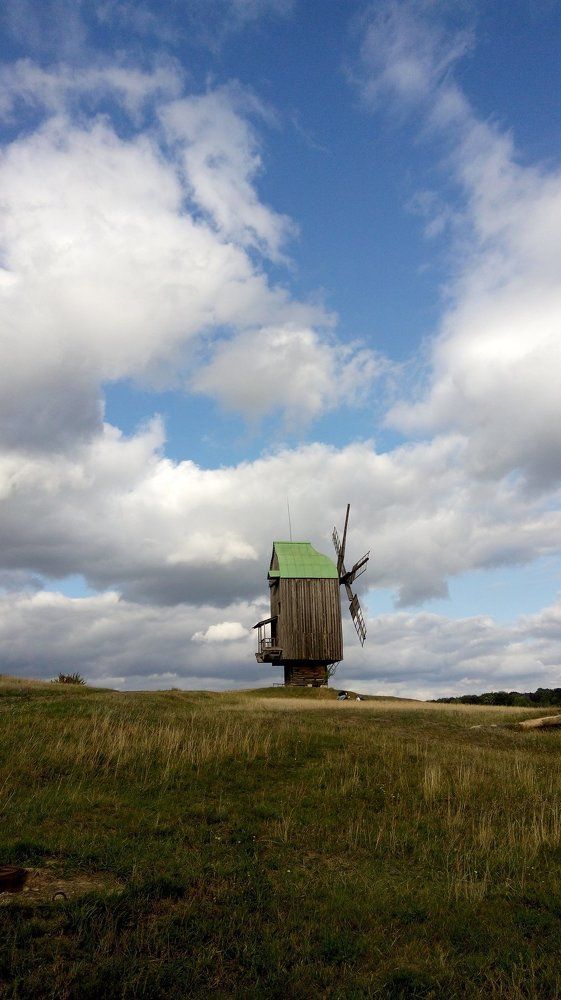 Прохладный летний день...