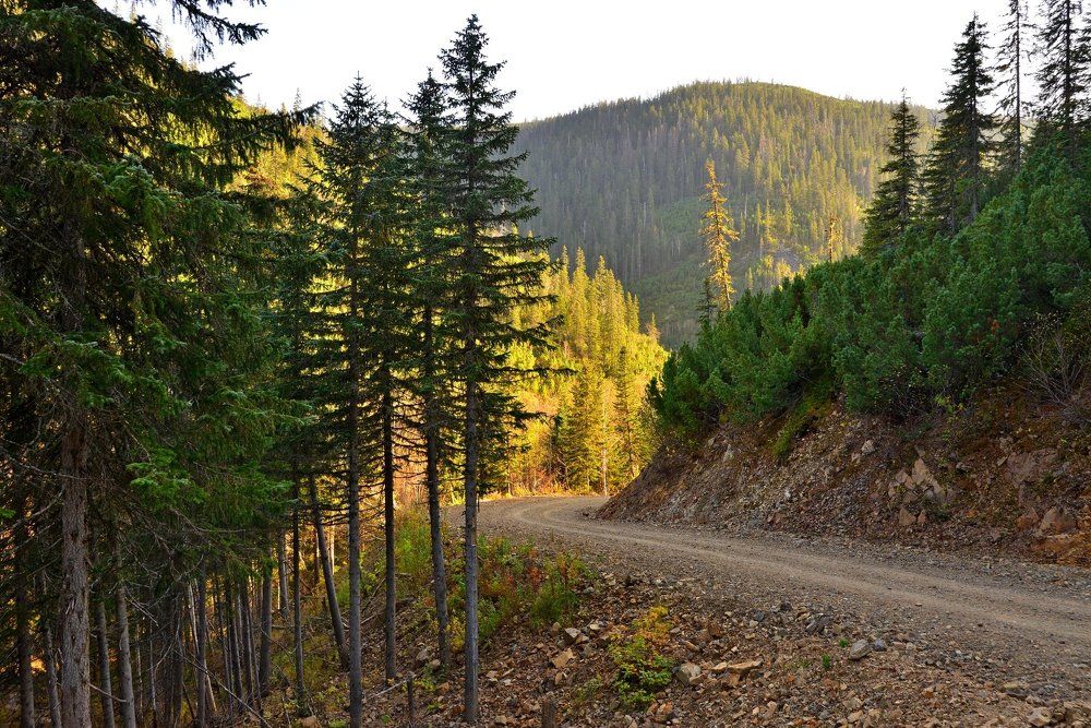Вперёд, к рассвету!