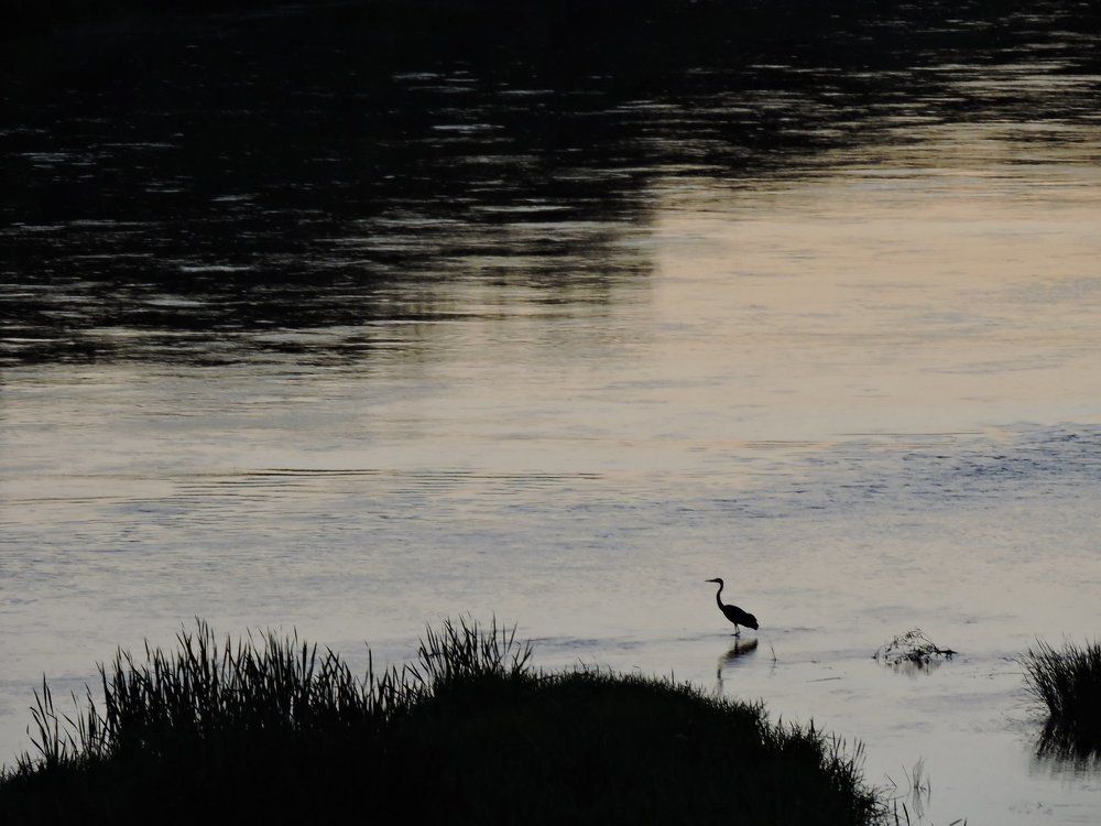 Photograph by Anna Pankratova