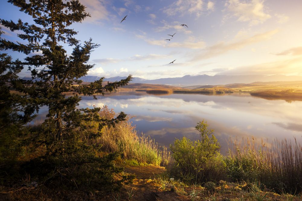 Утро на Кипре