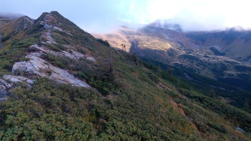 Photo #1974531