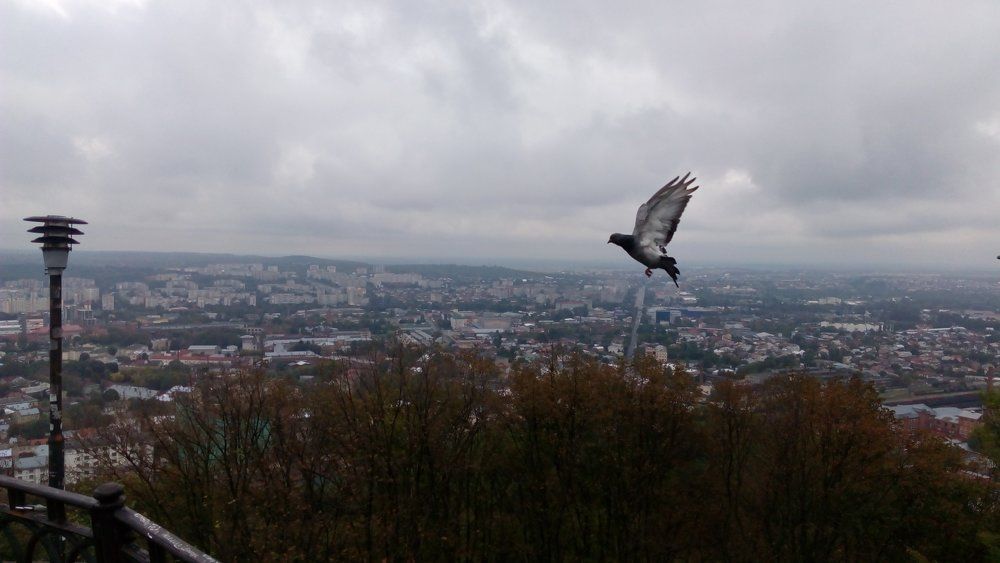 Photo #1974533