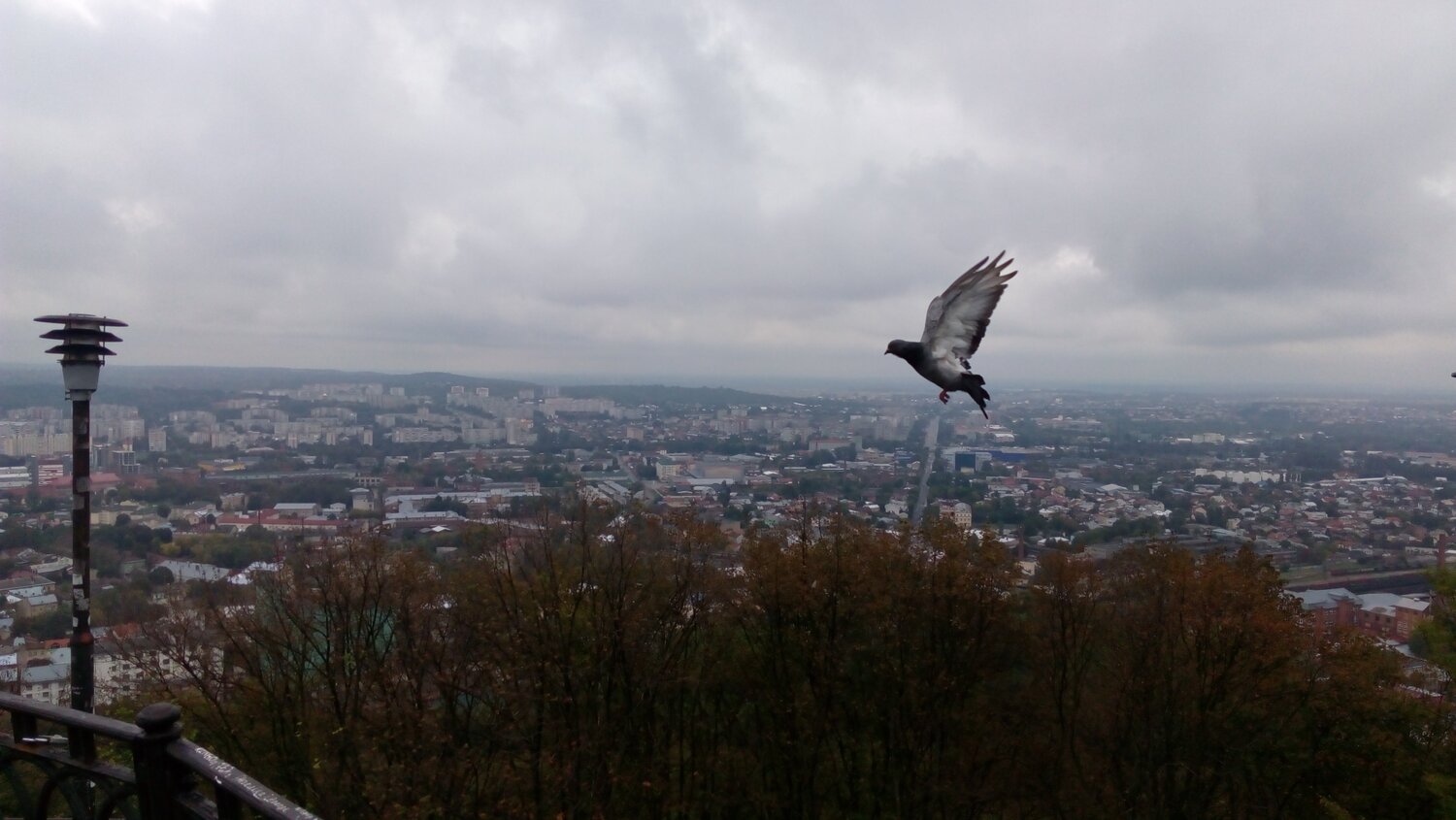 Photo #1974533
